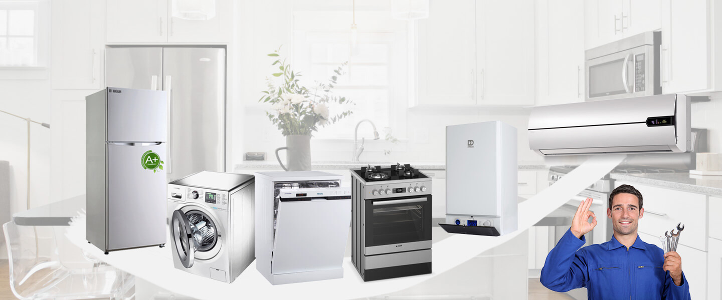 Muradiye Electrolux Servisi